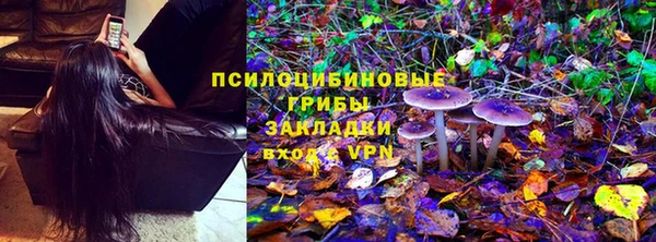 круглые Абаза