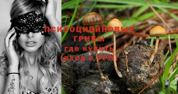 прущие крисы Алзамай