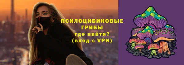 ГАЛЛЮЦИНОГЕННЫЕ ГРИБЫ Алексеевка
