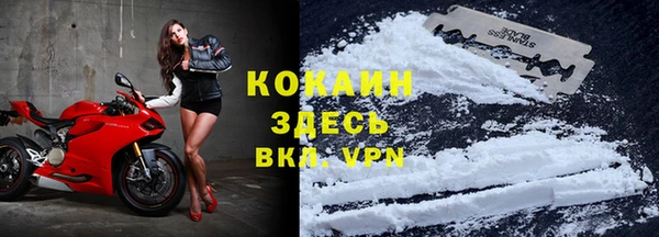 прущие крисы Алзамай