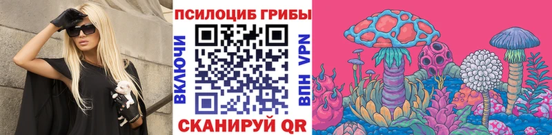 Галлюциногенные грибы Psilocybe Игарка